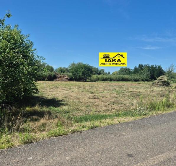 Merisor, 30 ari teren parcelabil - 6