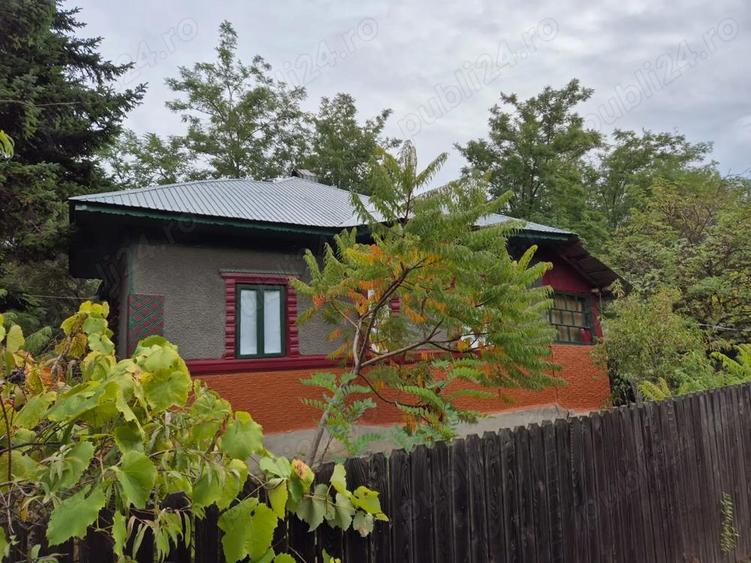 Casa cu teren 3.682 mp, sat Radu Voda (com. Lupsanu, jud. Calara?i) - 8