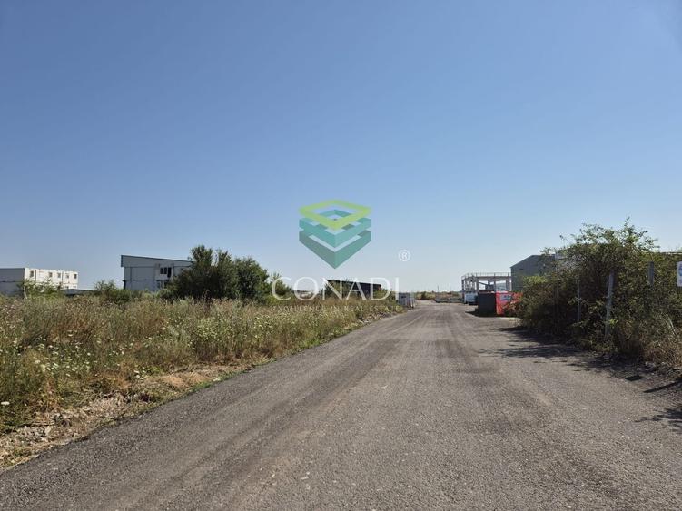 Teren de vanzare cu autorizatie pentru 2 hale - Otopeni - 10.000 mp - 12