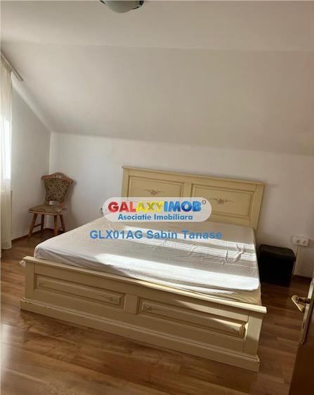 De inchirere vila Stefanesti Lidl ....curte amenajata ter - 4