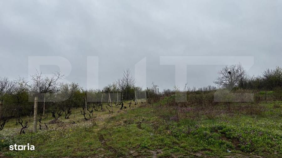 Teren intravilan 2000 mp, front 16,7 ml, vizibilitate la DN, Carcea - 2