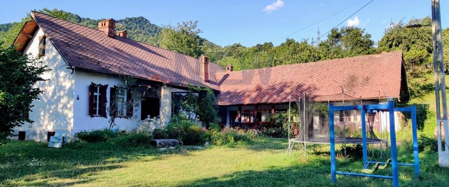 CONACUL GEORGE STEPHANESCU - 20