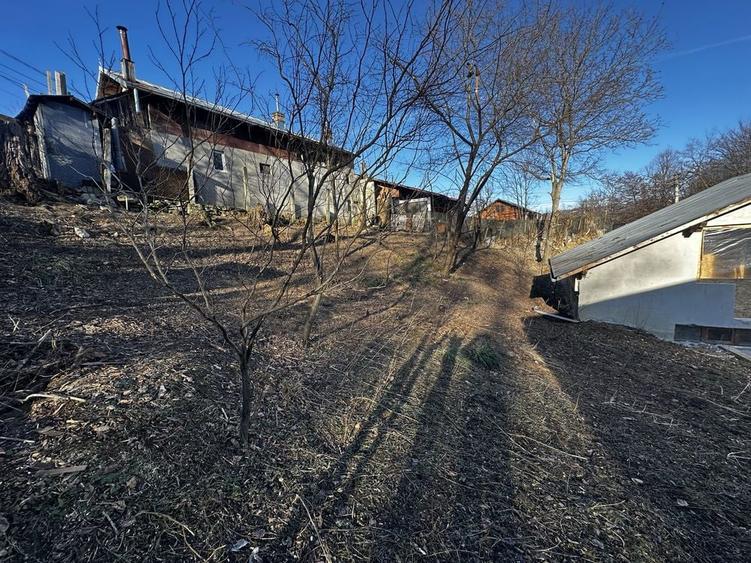 Casa de vacanta Breaza - 2