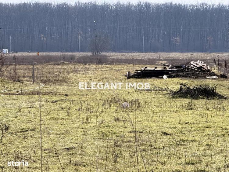 Vanzari Terenuri Ghermanesti - 4