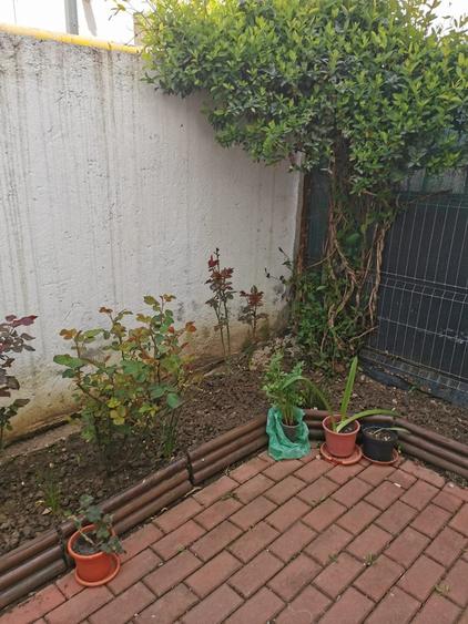 Alexandriei, Bragadiru - 8