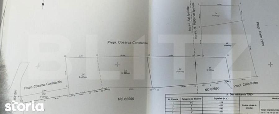 Teren cu casa batraneasca de 85 mp utili cu teren de 6700 mp in Ipatel - 5