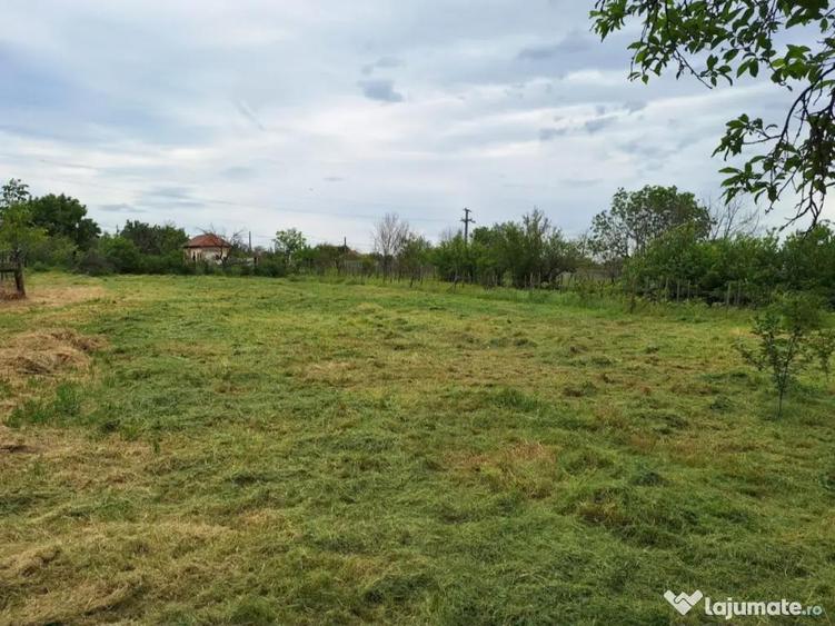 Vand teren intravilan 1796 mp, deschidere 30 m, utilita?i complete -Piatra-Olt - 1