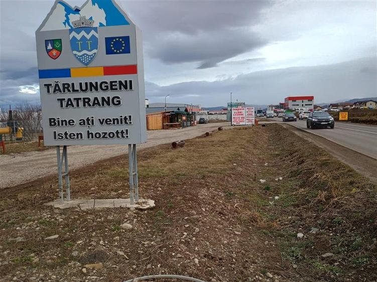 Teren 9000 mp Sacele Izvor, front 356 m la DJ 103A - 8