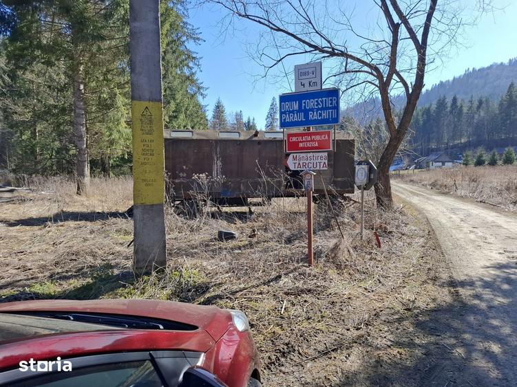 Teren Intravilan | Schitu Tarcau | 2089MP | Izvor | Platou - 7