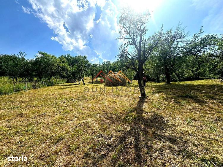 Teren 2037 mp, 17 ml deschidere, 28 euro/m2, vedere panoramica - 3