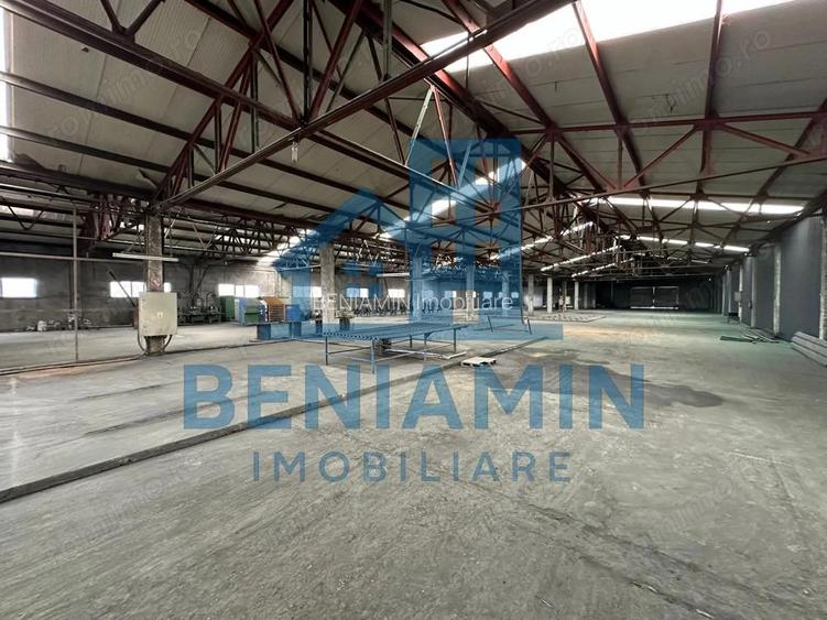 Hale 9000mp-Teren 24.000mp-Industrial-Dolj-Curent Trifazic-Investitie Hale 9000mp-Teren 24.000mp-Industrial-Dolj-Curent Trifazic-Investitie