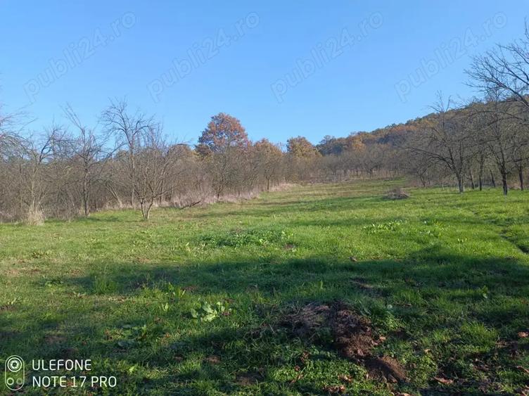 Vand casa Simeria veche - 6