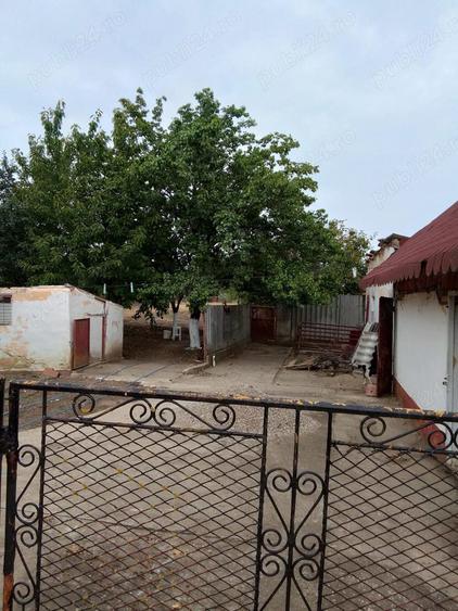 vand casa la 30 km te tm - 1