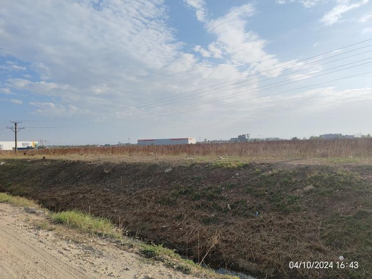 Vanzare Teren 7700 mp in Bolintin Deal - Zona Industriala - 2