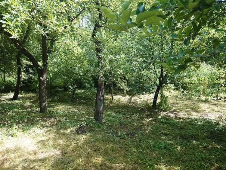 Casa, anexe si teren amplasate central in municipiul Brad - 9