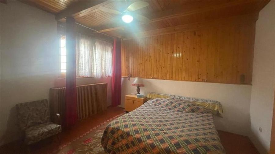 Ferdinand, cartier rezidential, vila burgheza cu magnolie - 7