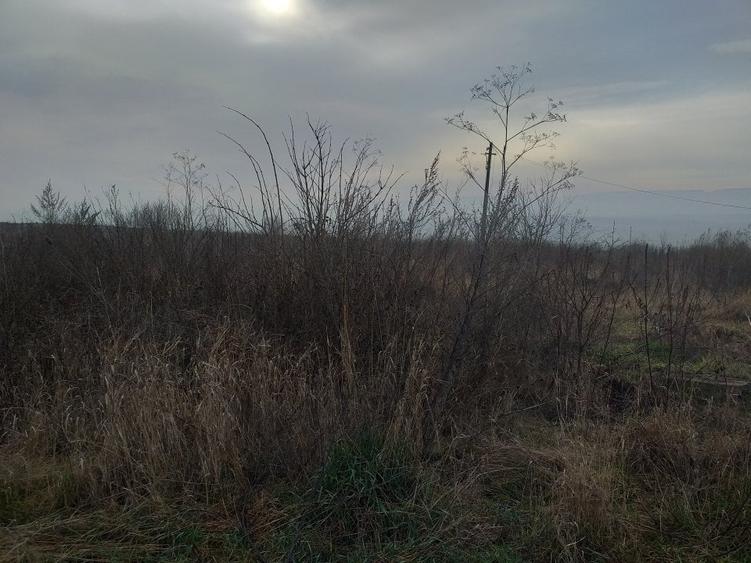 Loc de casa in Catamarasti Deal zona RAR - 2