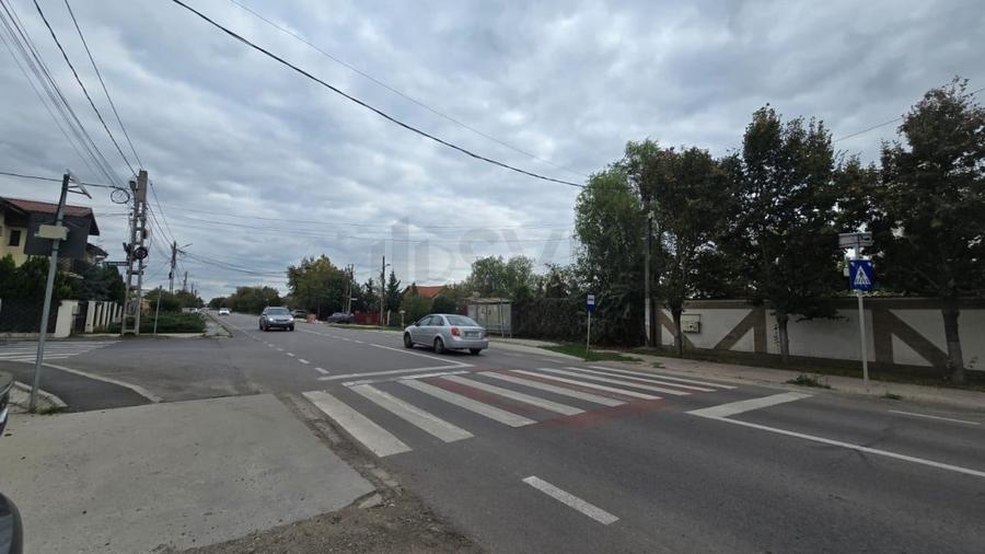 REL4001052 Teren de vanzare Domnesti - 5