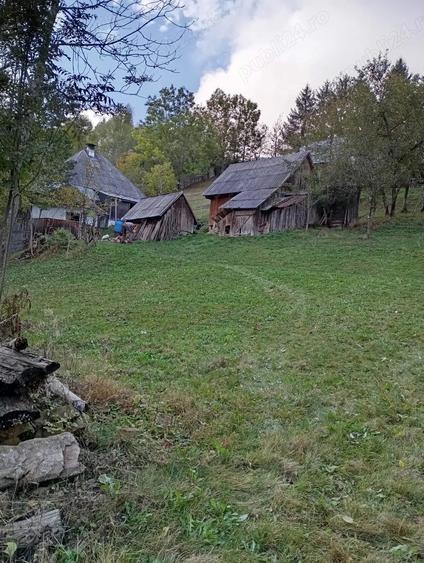 Vand casa batraneasca locuibila, in zona de munte, Apuseni&Teren Pret:3euro m 6400m, com. Scarisoara - 9