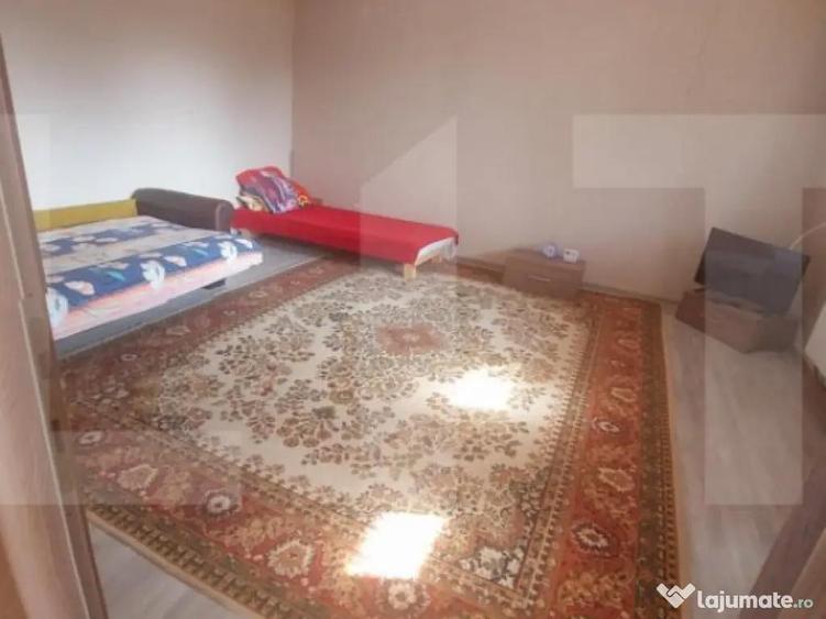 Blitz va ofera spre vanzare casa in Vladimirescu - 10