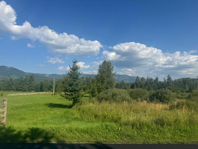 12700 mp investitie rezidentiala- turistica- medicala Tinovul Mic/Șaru Dornei - 3