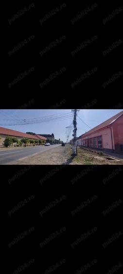Teren intravilan cur?i construc?ii 2800 mp- Lovrin-Centru de vanzare - 9