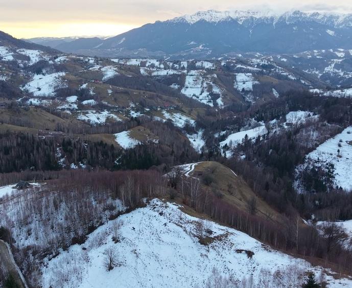 Teren de vanzare - Pestera Magura Moeciu - 4