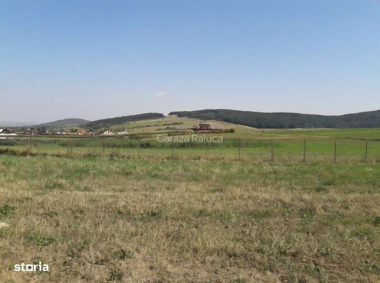 5050mp teren intravilan, faneata, comuna Garcina, sat Almas, Neamt - 2