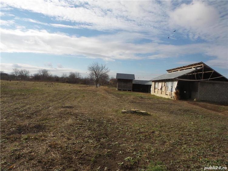 Teren Central Vulturu - 2