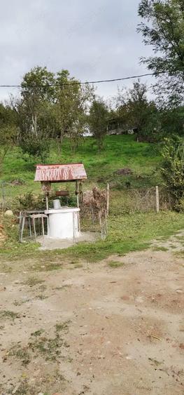 Casa de vanzare - teren 2357 mp in comuna Pietrari - 1