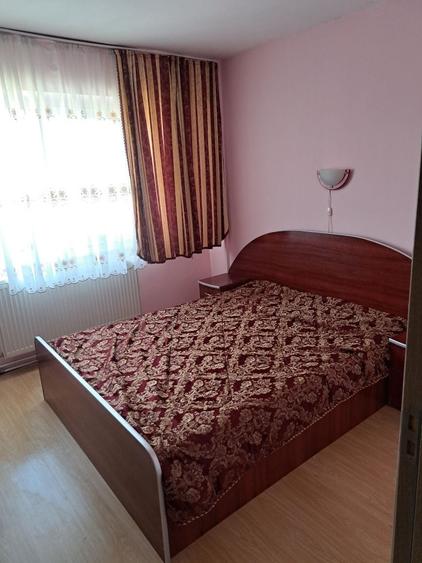 Vanzare apartament cu 3 camere pe Drumul Careiului langa fostul Restaurant Lotus - 4