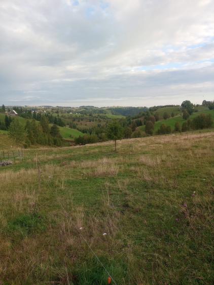 Vand teren intravilan si extravilan Sat Maguri - 1