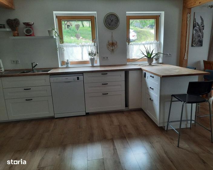 2 case pe curte / posibila investitie - 1