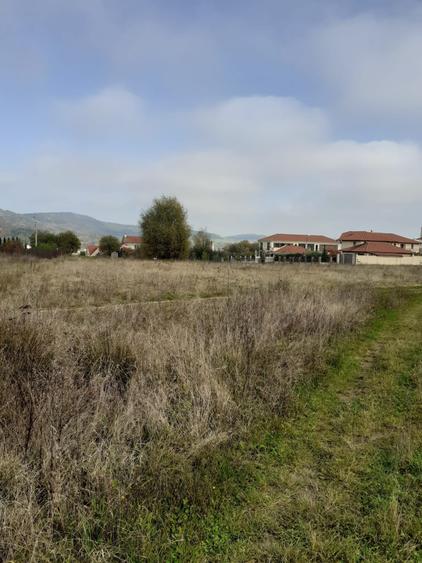 Vand teren intravilan in zona Fac.Sapientia - 2