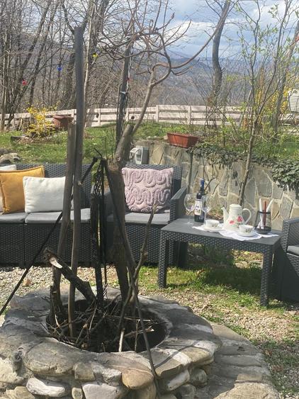 Proprietate Breaza de vis , zona de vis , prezentarea agentului , de vis - 36