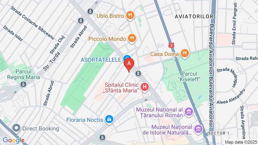 2 camere, terasa 19 mp, Piata Victoriei-Parcul Kiseleff-Pta 1 Mai 2 camere, terasa 19 mp, Piata Victoriei-Parcul Kiseleff-Pta 1 Mai