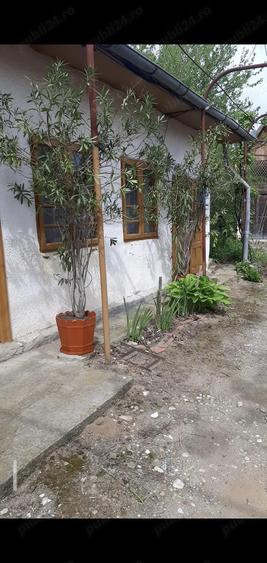 Casa centru Daneti, 80mp, curte si gradina 3.000 mp, apa + curent - 2
