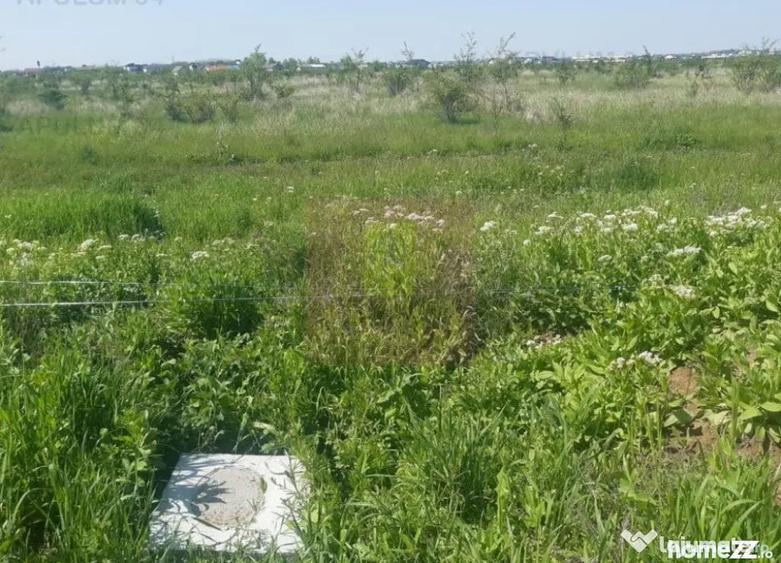 Teren de 29000 mp, în Pantelimon
