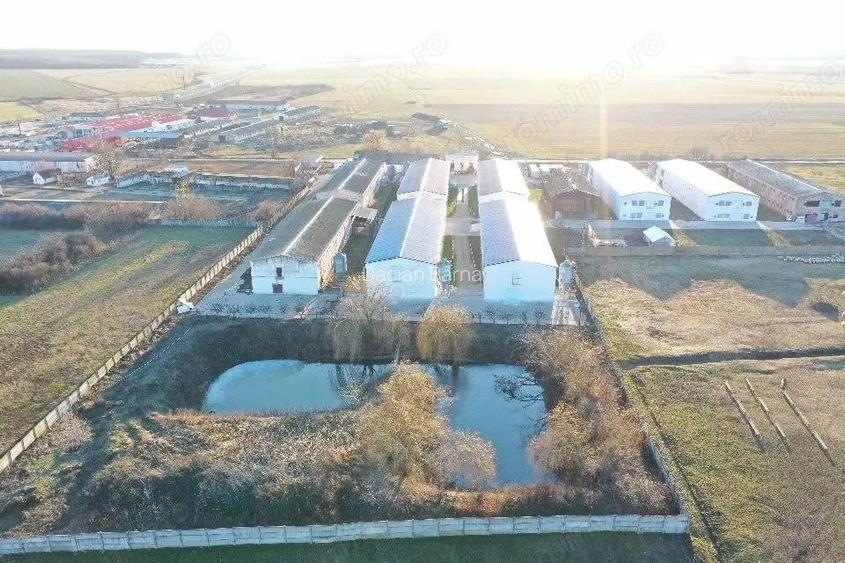 Hale de inchiriat in Bihor-Nojorid-Les , depozitare-productiv-curierat-service