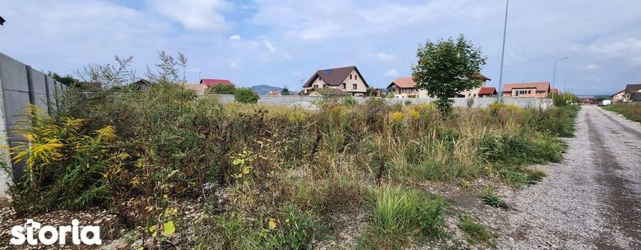 Teren in suprafata 800 mp situat in Harman, zona de case! - 2