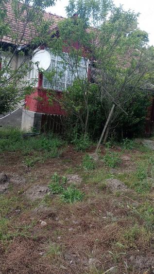 Casa cu gradina in Comlod jud Bistri?a Nasaud - 1