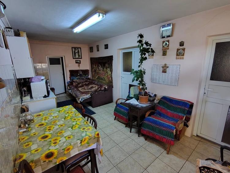 Casa unifamiliala 120 mp utili,  cu 477 mp teren, garaj, Dambul Rotund - 12