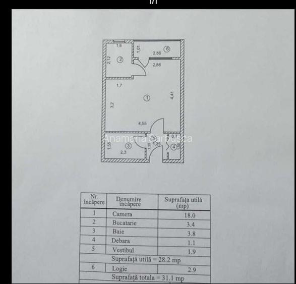 Garsoniera, Delfinului