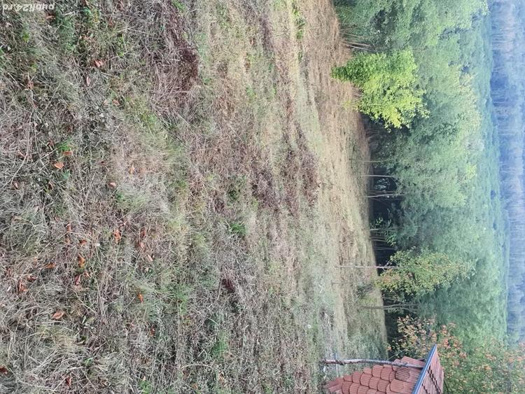 vind teren intravilan ,,URGENT'' - 4