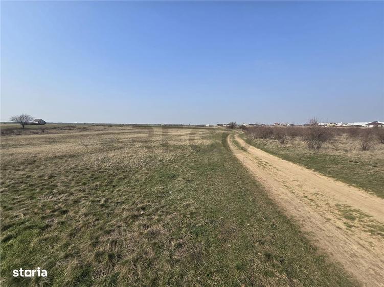 RECO Teren Grigorescu - 4