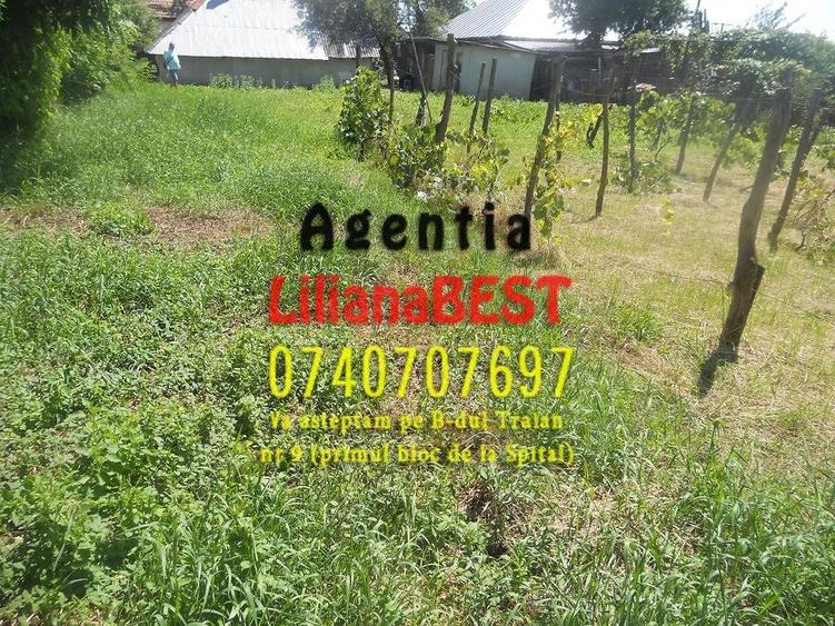 Casa cu 1000 mp teren Costisa - 3