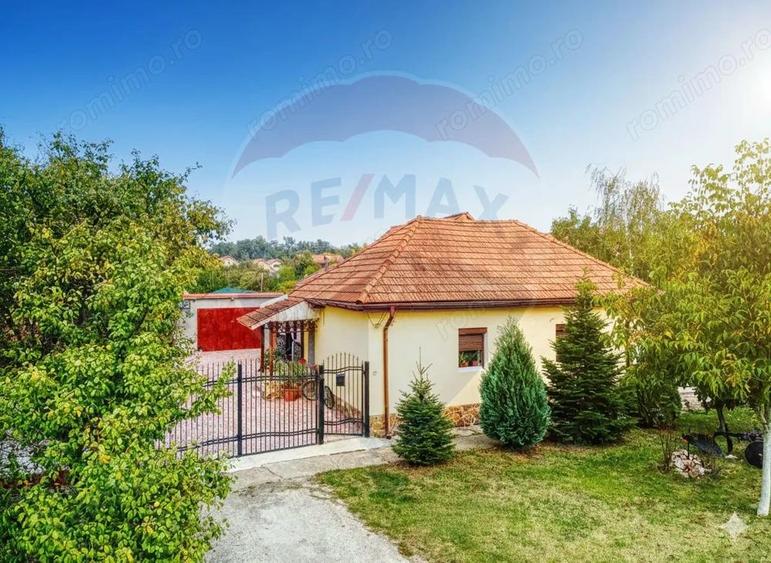 Casa de vanzare in Bazosu Nou - 7