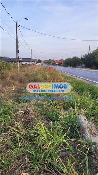 Vand teren intravilan si extravilan 54000 mp la DN7, deschidere 200 m - 3
