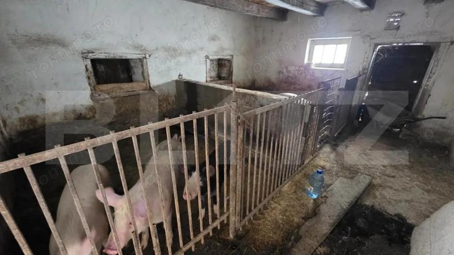 Casa cu teren 32 ari Viile Tecii, la 30 km de Bistri?a - 11