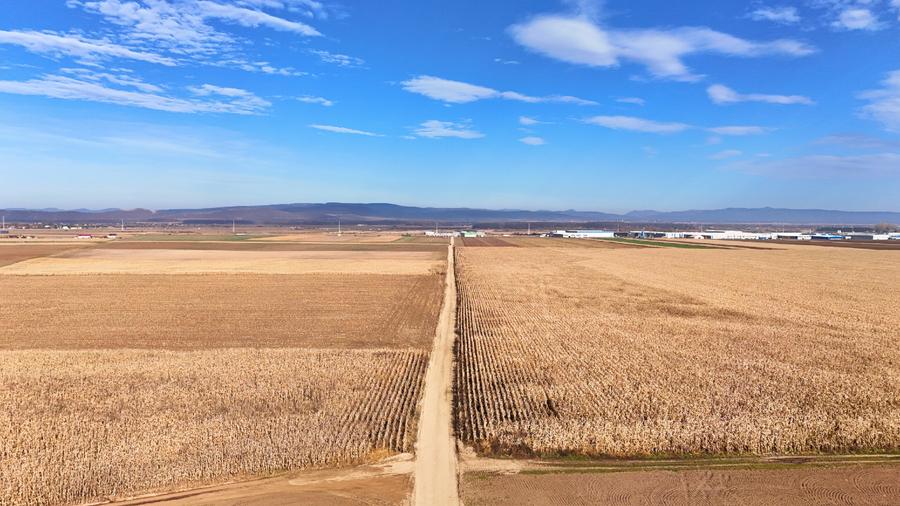 Teren 32,5 Ha compact Prejmer, Brasov. Imagini drona,tur/360 - 11